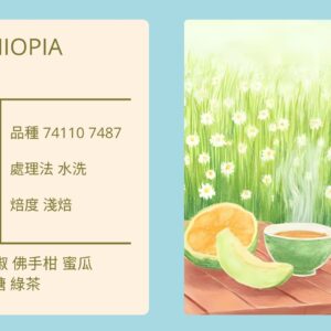 ETHIOPIA/Oromia Lekempti 野薑花水洗 淺焙