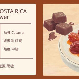 COSTA RICA/ San Marcos Women Power 卡杜拉紅蜜 中焙