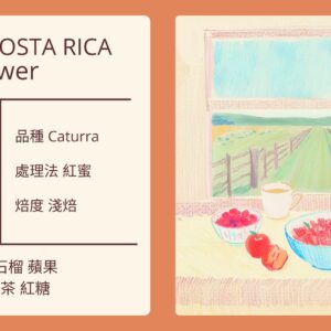 COSTA RICA/ San Marcos Women Power 卡杜拉紅蜜 淺焙