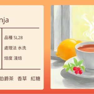 KENYA/ AA Nyeri Kamwenja  水洗 淺焙