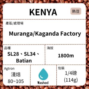 新到貨～KENYA/ AA Muranga Kaganda 水洗 淺焙