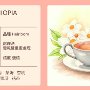 ETHIOPIA/ SNNPR Sheka Heirloom 原生種G1 慢乾雙重蜜處理 淺焙