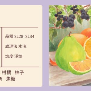 KENYA/ AA Kirinyaga Thimu 水洗 淺焙