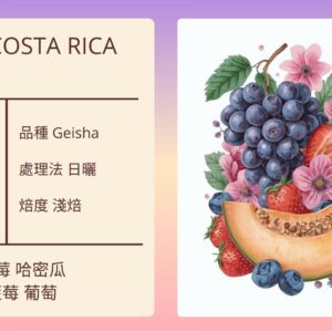 新到貨~COSTA RICA/León Cortés/ Manural處理場/微批次Geisha 日曬 淺焙