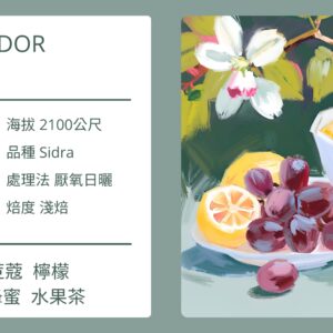 ECUADOR/ Pichincha/Santa Rosa 莊園 Sidra 厭氧日曬 淺焙