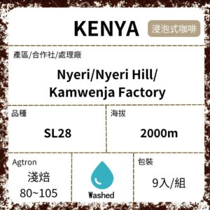 新到貨~KENYA Kamwenja AA Washed 水洗 淺焙 浸泡式咖啡