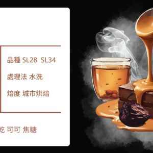 KENYA/ AA Kirinyaga Thimu 水洗 城市烘焙