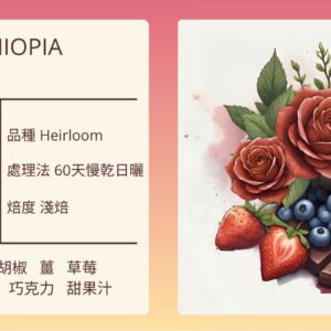 ETHIOPIA/Kochere Beloya G1原生種 60天慢乾日曬 淺焙