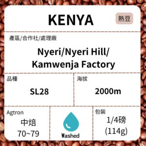 KENYA/ AA Nyeri Kamwenja  水洗 中焙