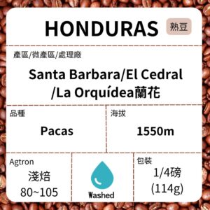 新到貨~HONDURAS/Santa Barbara La Orquídea蘭花 微批次帕卡斯 水洗 淺焙