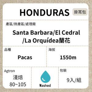 新到貨~HONDURAS/Santa Barbara La Orquídea蘭花 微批次帕卡斯 水洗 淺焙 濾泡掛耳咖啡